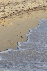 Small Wave on a Shiny Seashore