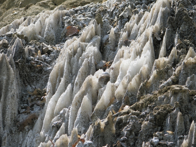 Salt Formations near a Lake